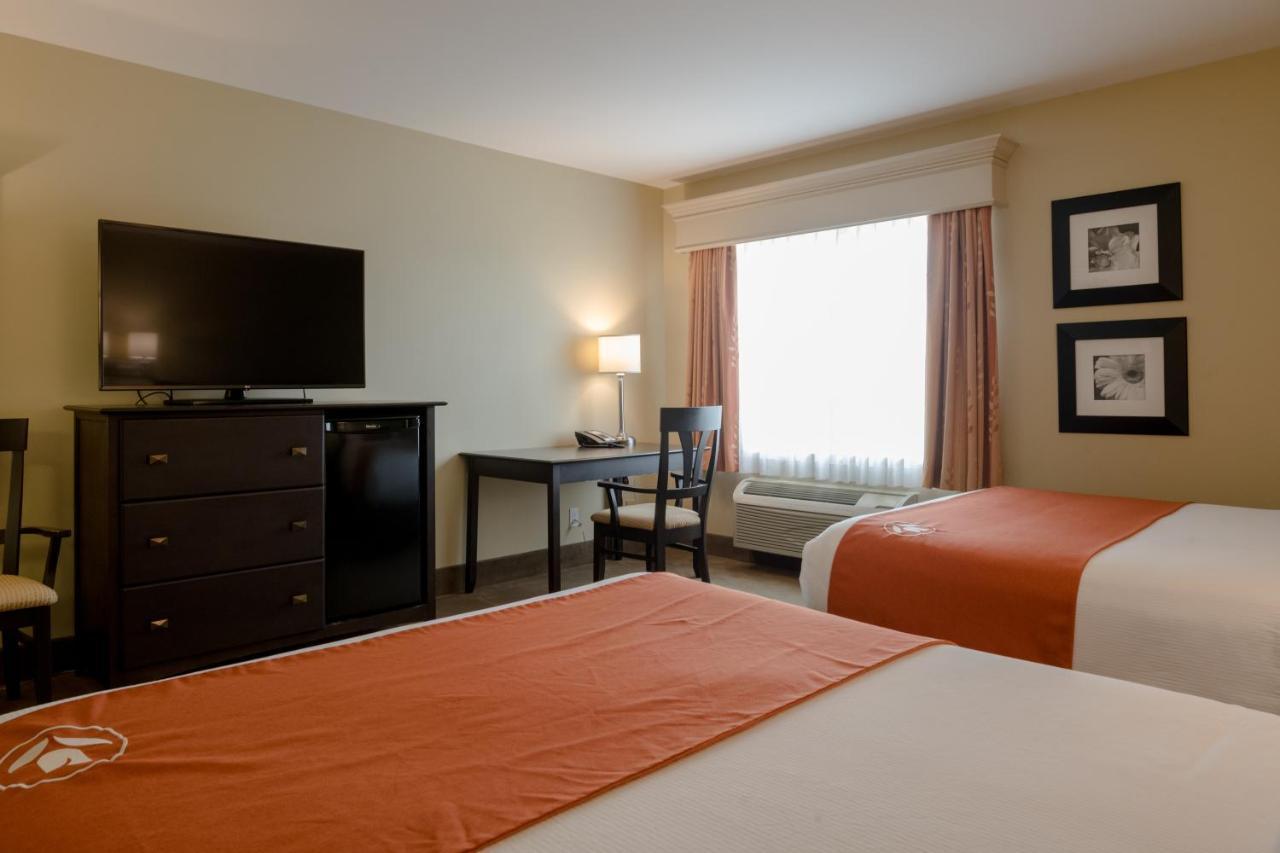 Amsterdam Inn & Suites Sussex Exteriér fotografie