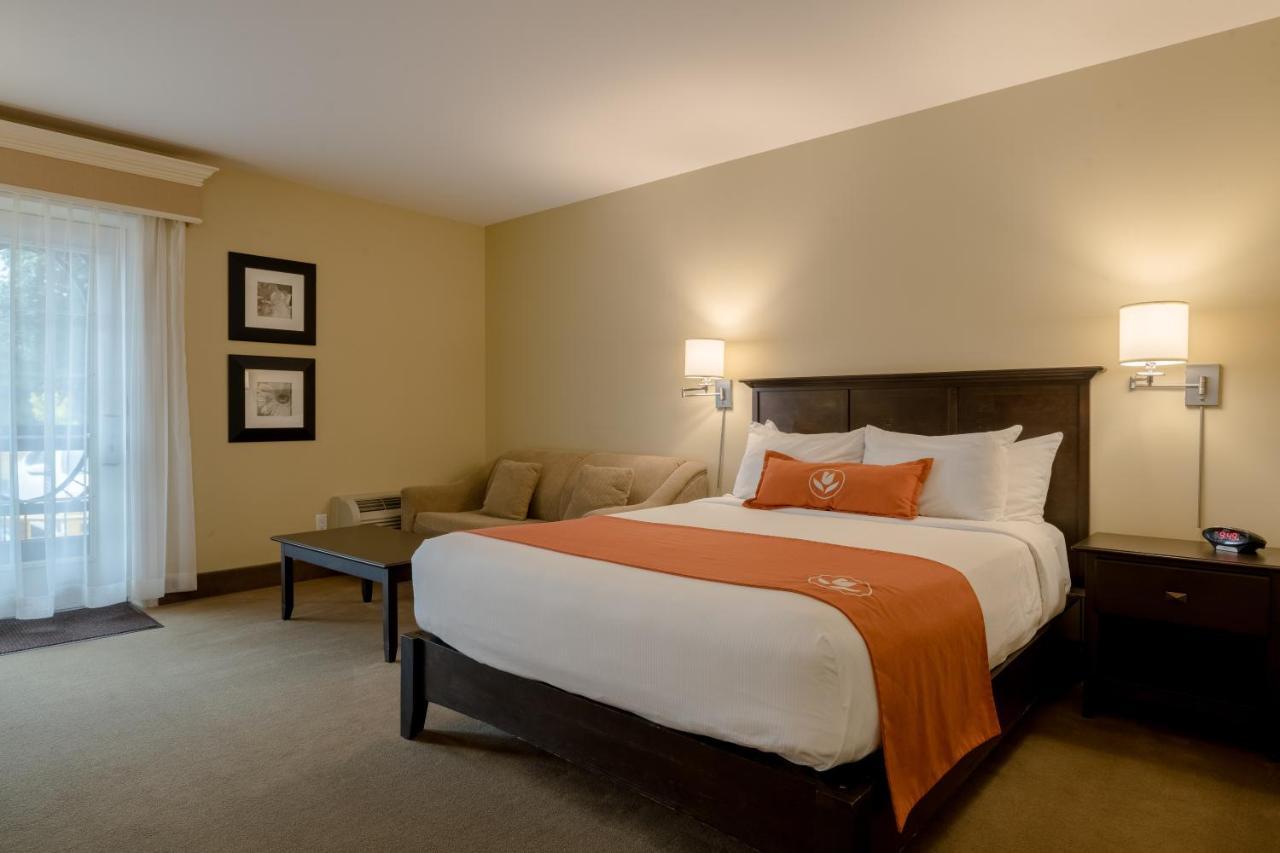 Amsterdam Inn & Suites Sussex Exteriér fotografie