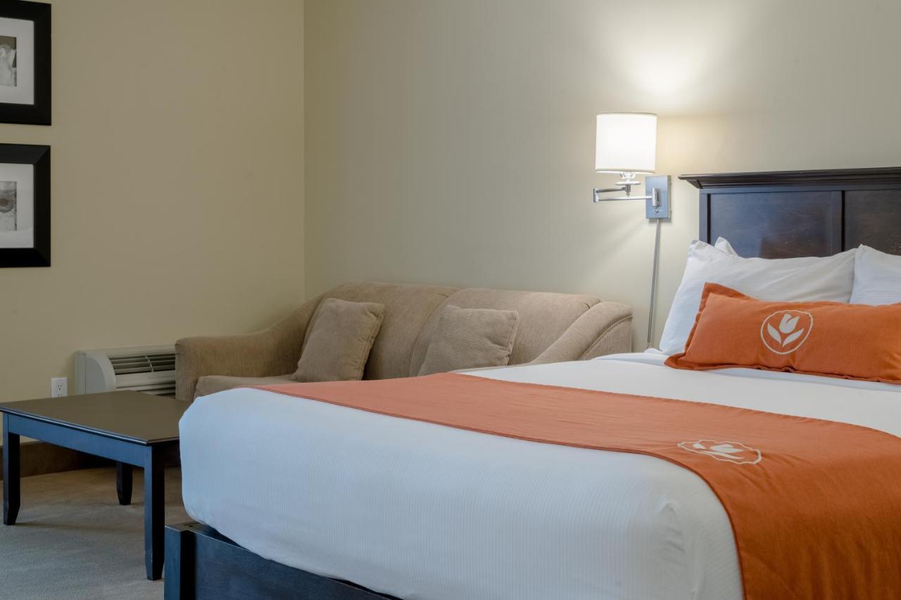 Amsterdam Inn & Suites Sussex Exteriér fotografie