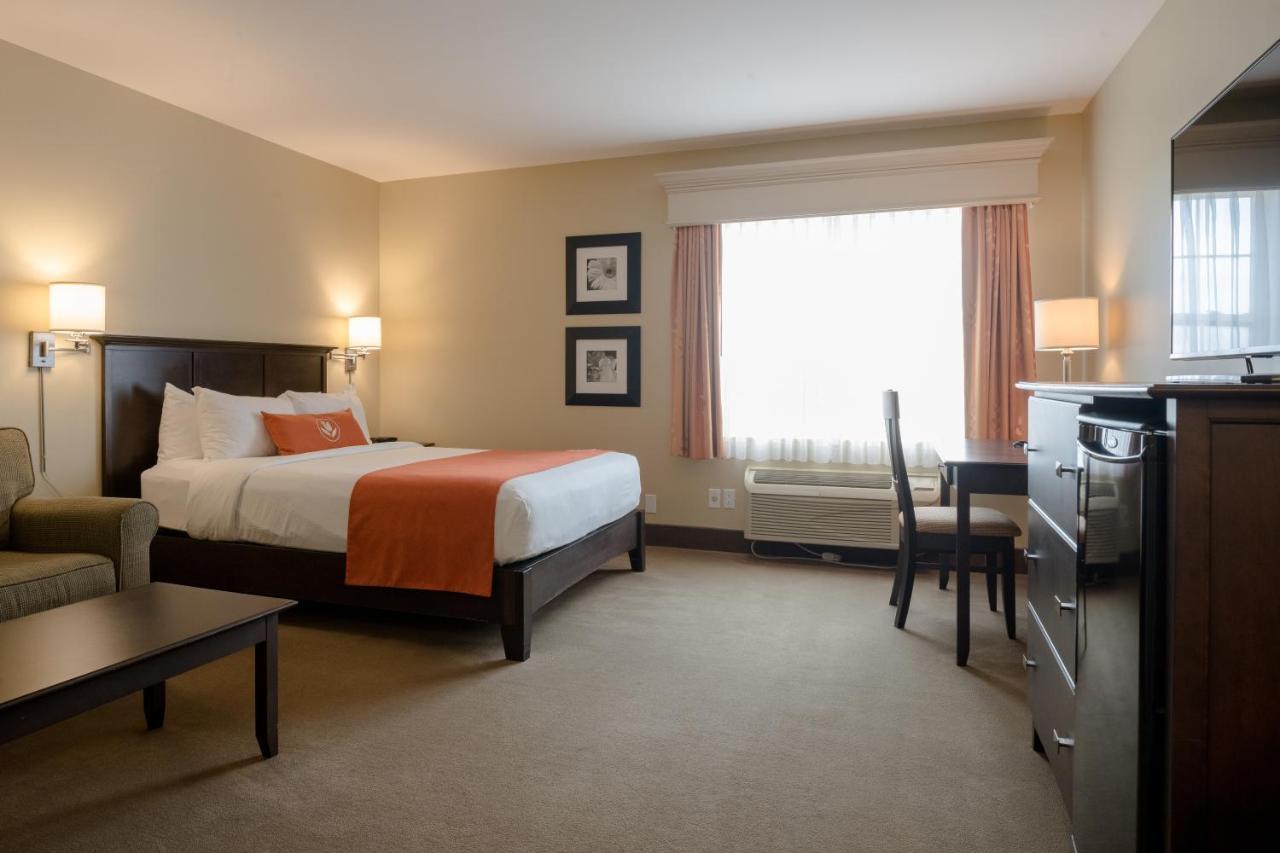 Amsterdam Inn & Suites Sussex Exteriér fotografie