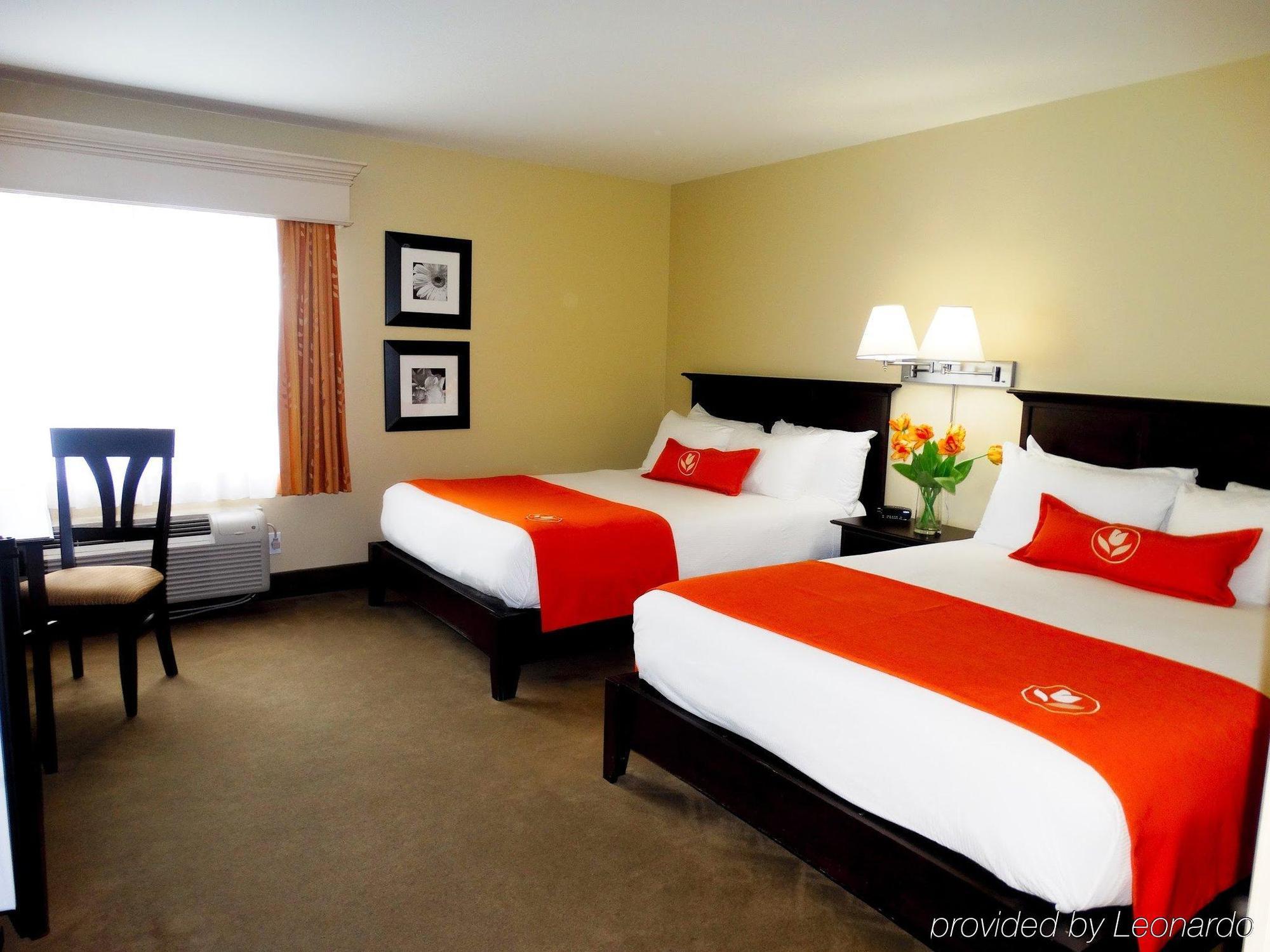 Amsterdam Inn & Suites Sussex Exteriér fotografie