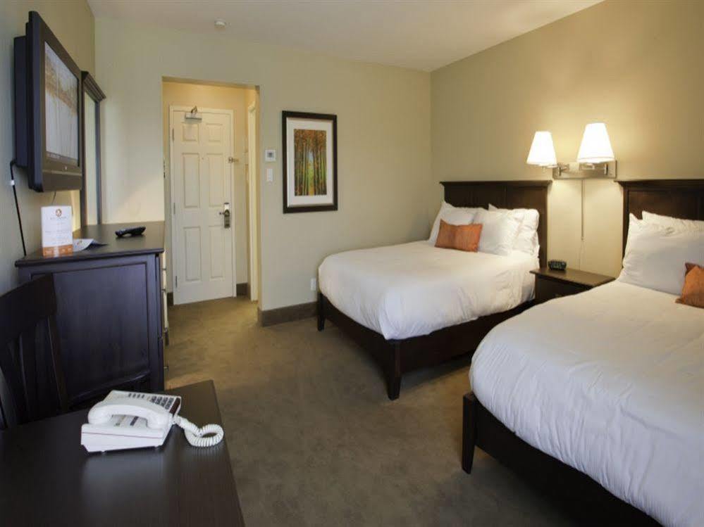 Amsterdam Inn & Suites Sussex Exteriér fotografie