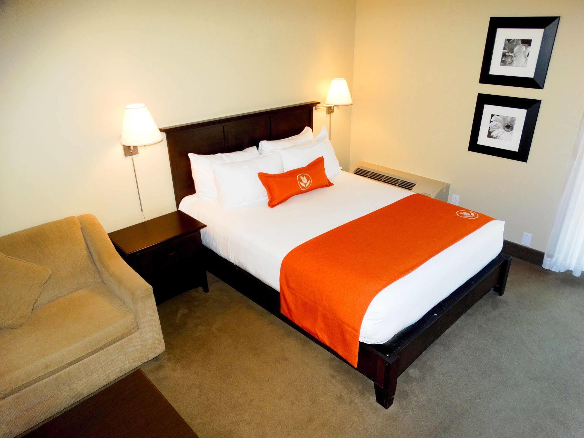 Amsterdam Inn & Suites Sussex Exteriér fotografie