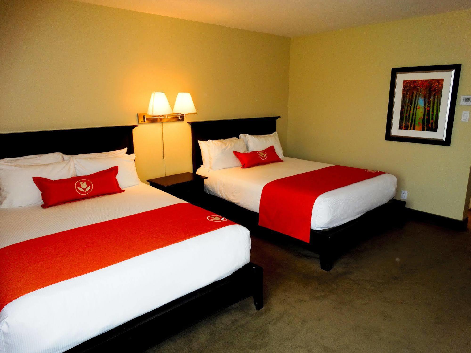 Amsterdam Inn & Suites Sussex Exteriér fotografie