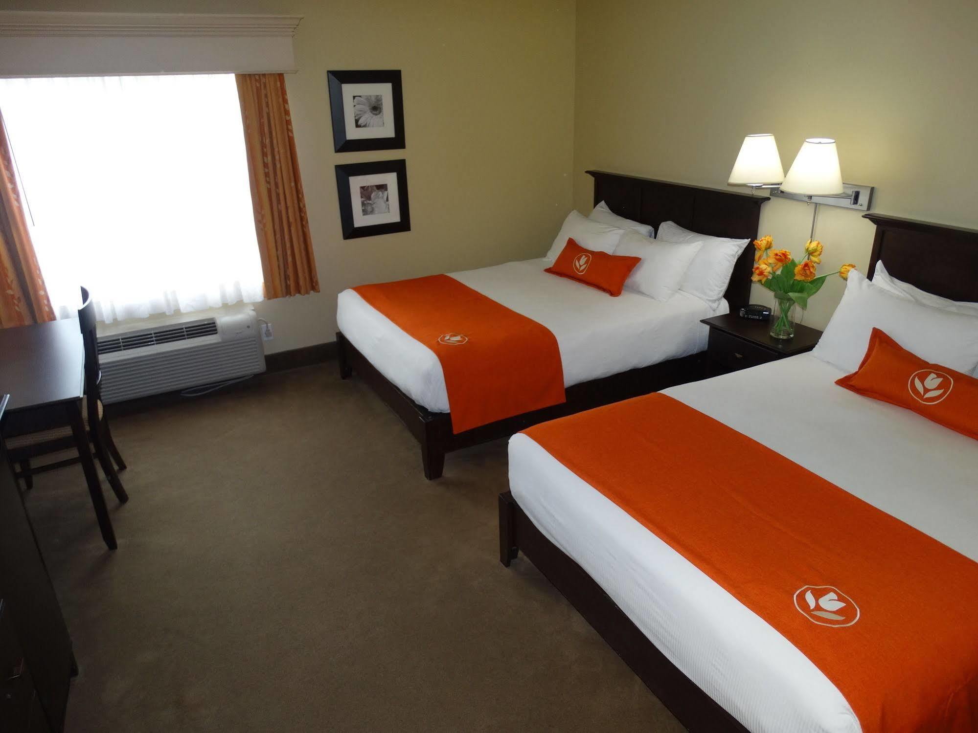 Amsterdam Inn & Suites Sussex Exteriér fotografie